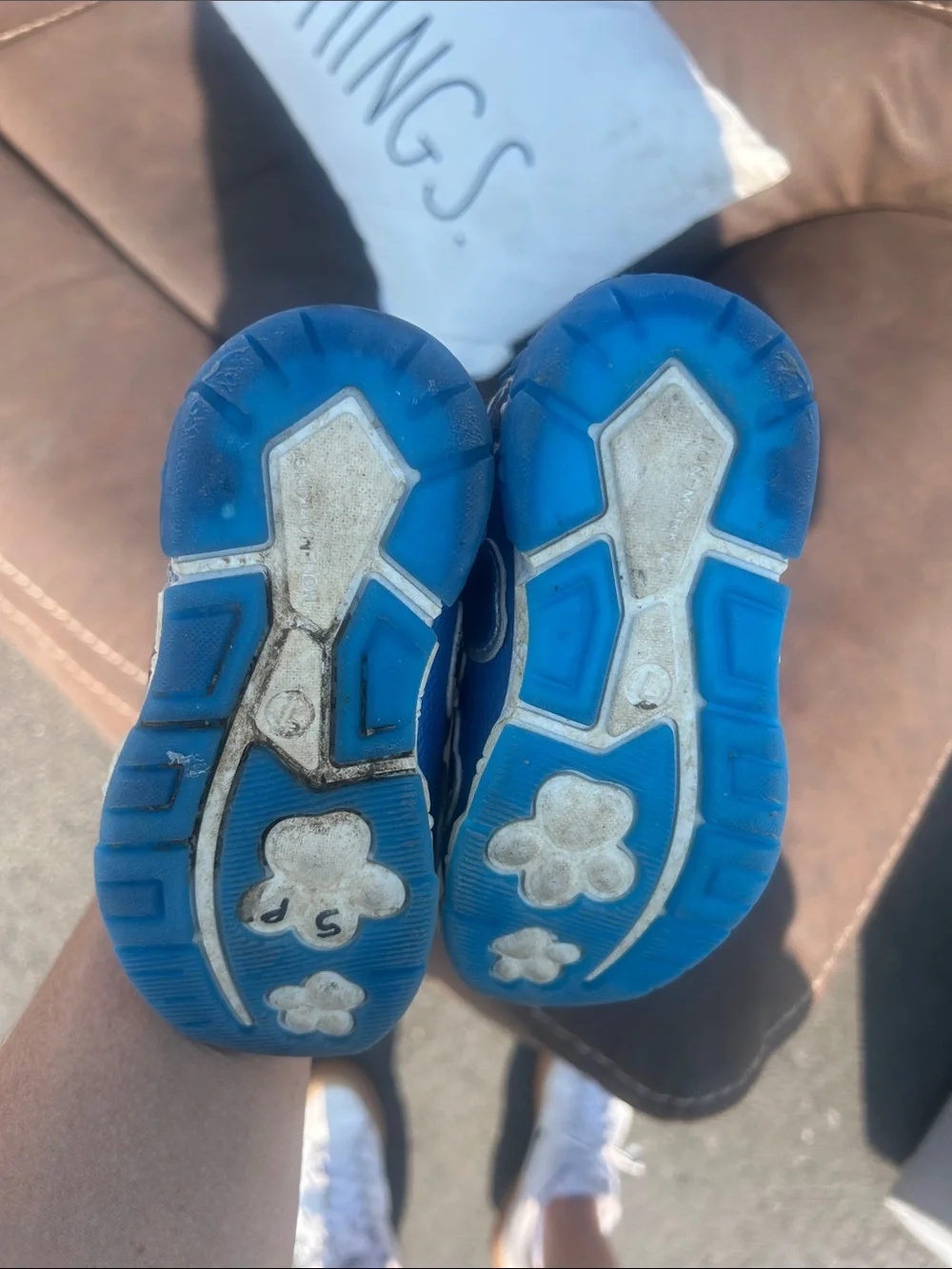 Paw Patrol bright blue